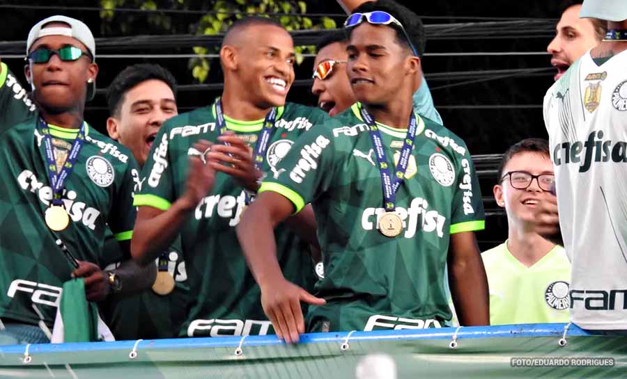 palmeiras 004